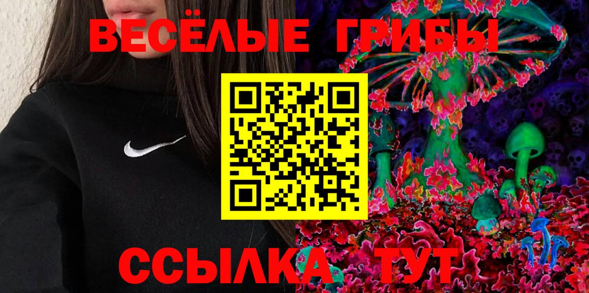 Рубцовск  Псилоцибиновые грибы ЛСД  Вход с VPN 