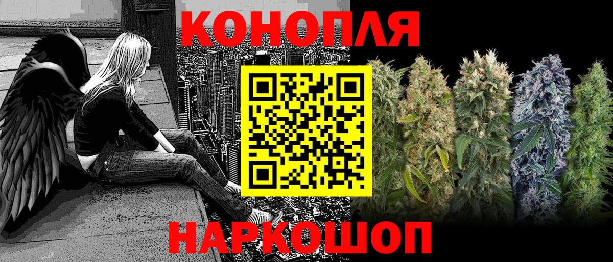 Марихуана планчик  Каннабис SATIVA & INDICA  Рубцовск  Вход с VPN  Бошки Шишки Bruce Banner  Бошки Шишки сатива 
